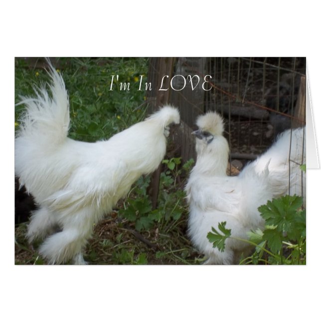 Je suis AMOUREUX (Devant horizontal)