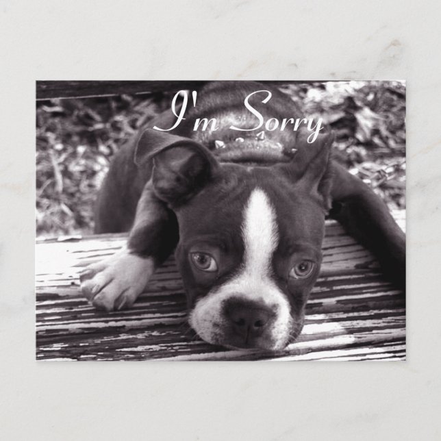 Je suis Désolé Carte (Devant)