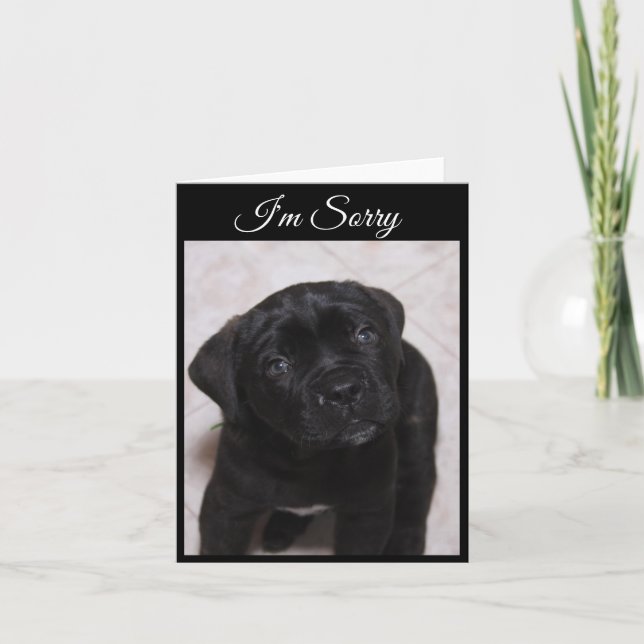 Je suis Désolé Carte - Mastiff Puppy (Devant)