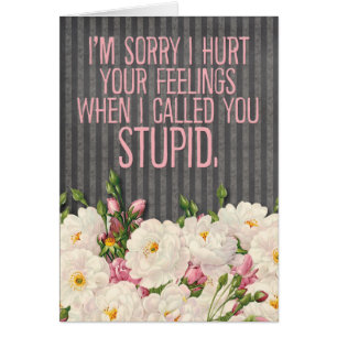 "Je suis désolé d'avoir fait mal à tes sentiments"