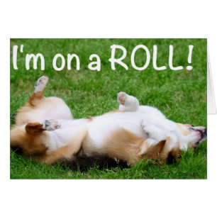 je suis en ROLL !