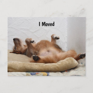 Je suis épuisé ! Carte postale