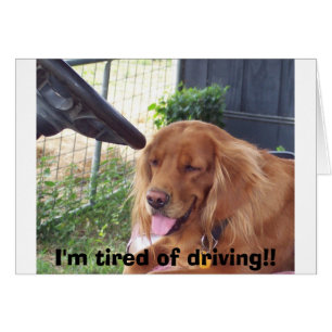 Je suis fatigué de conduire ! !