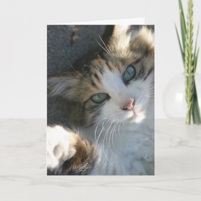 Je suis là pour ta carte (Devant)