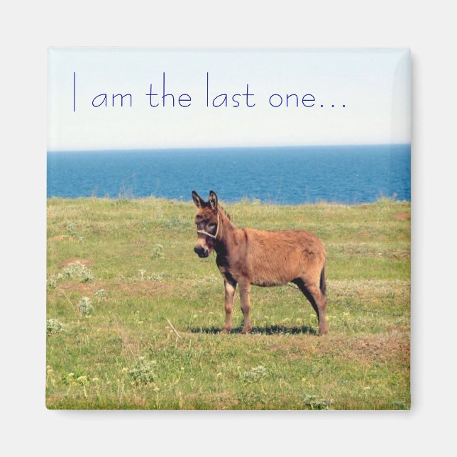 Je suis le dernier... Magnet (Devant)