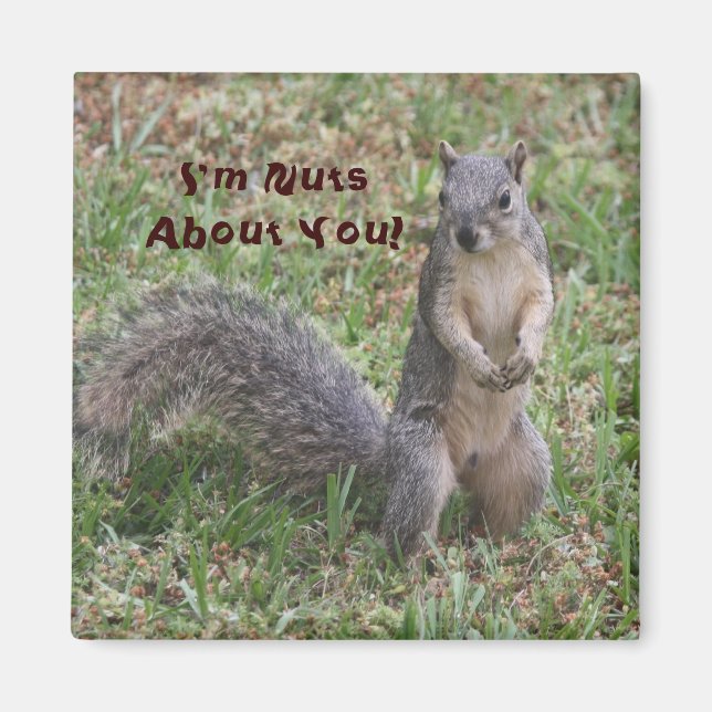 Je suis Nuts à propos de vous Magnet (Devant)