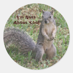 Je suis Nuts à propos de vous Sticker