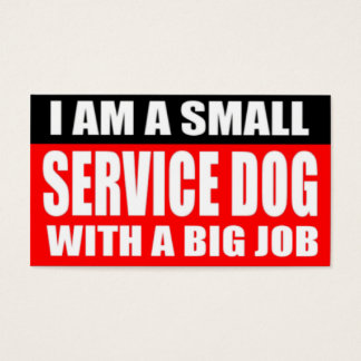 Je suis un petit chien de service avec un gros bou