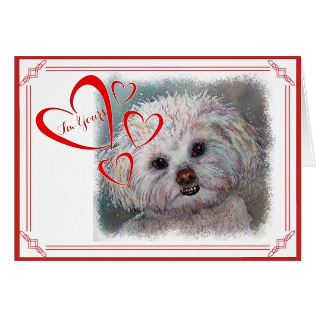 JE SUIS VOTRE VALENTINE SWEET WHITE MALTESE YORKIE (Devant horizontal)