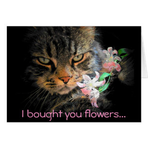 Je T'Ai Acheté Des Fleurs, Puis Je Les Ai Mangées