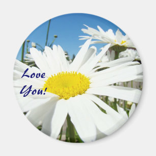 Je t'aime ! aimants Fleurs de Marguerite Blanche C