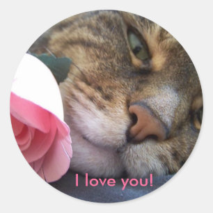 Je t'aime autocollant de chat