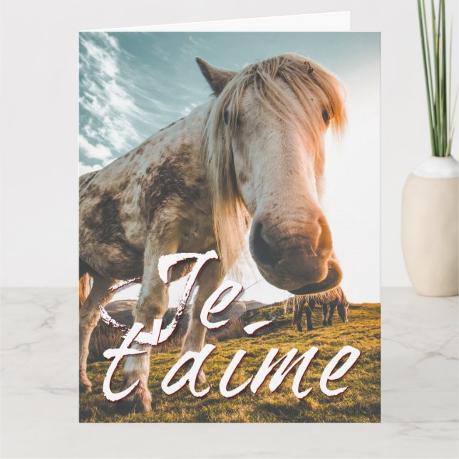 Je taime avec regardé cheva karte (Vorderseite)