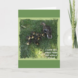 Je t'aime plus que la carte du monde lui-même