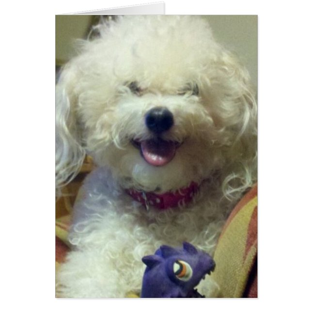 JE T'AIME PLUS QUE MON JOUET FAV (Devant)