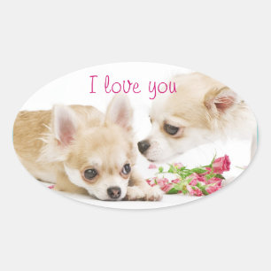 Je t'aime Stickers