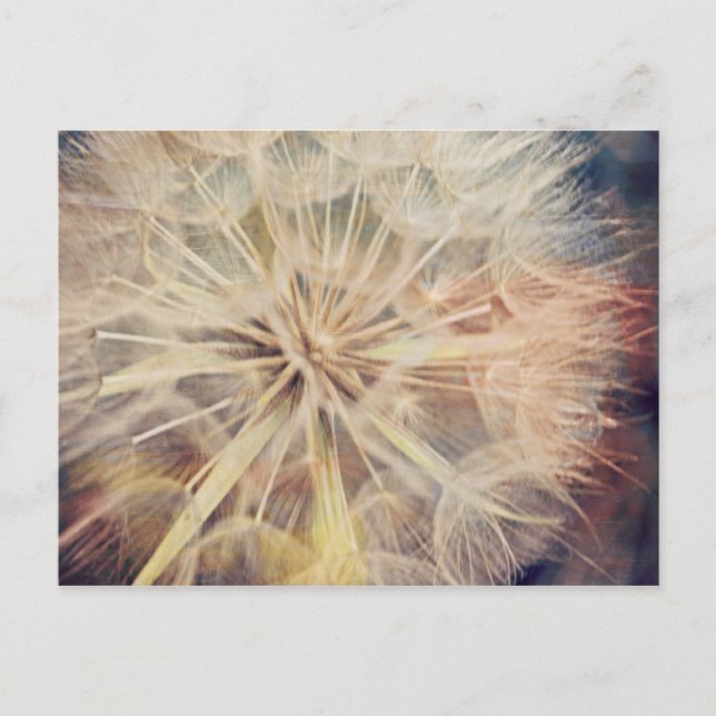 Je Veux... - Carte postale (Devant)