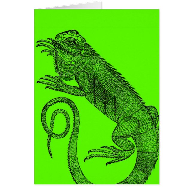 Je veux Iguana (Devant)