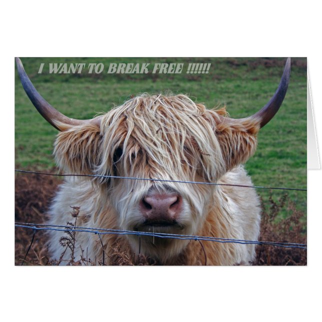 Je veux me libérer (Devant horizontal)