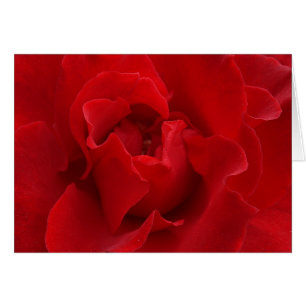 Je vous aimerai toujours