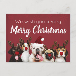 Je Vous Souhaite Une Jolie Carte Postale Chiot De 