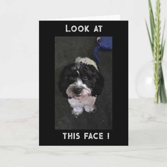 JEALOUS PUP SAGT "GLÜCKLICHER GEBURTSTAG" KARTE (Vorderseite)