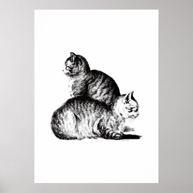 Jean Bernard's two cats combination Poster (Vorne)