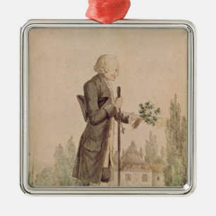 Jean-jacques RousseauAnsammlungs-Kräuter Silbernes Ornament
