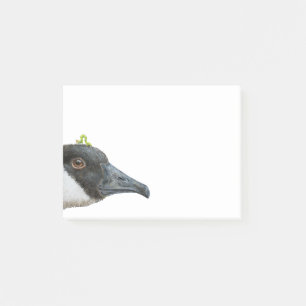 Jeb die Kanada-Gans Post-Itanmerkungen Post-it Klebezettel