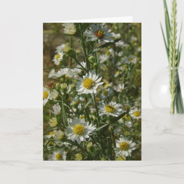 Jede Anlässe für Herbst-Blume Karte (Vorderseite)