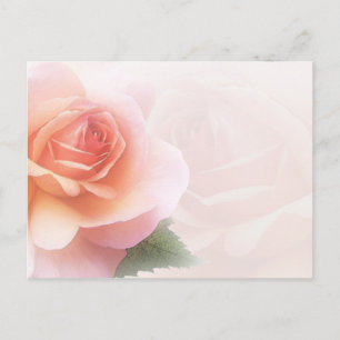 Jeden Anlaß-Postkarte für empfindliche Rose Postkarte