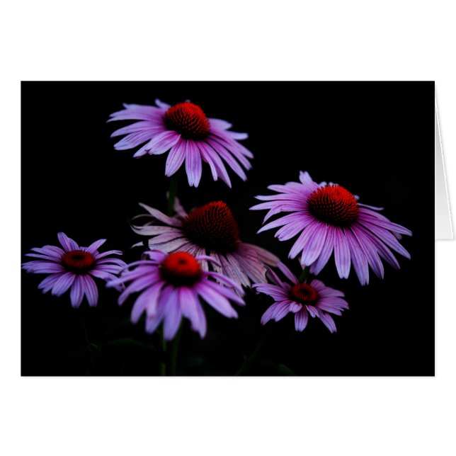 Jeder Anlass (Vorderseite (Horizontal))