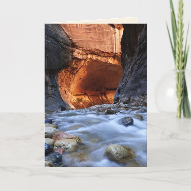 Jeder Anlass, Die Pfeile, Zion Nationalpark Utah Karte (Vorderseite)