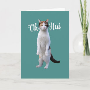 Jeder Anlass Say Hallo Niedliche Stehende Chat-Kar Karte