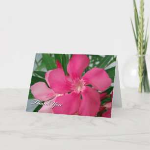 Jeder Fall danke Ihnen Pink Oleander Blume
