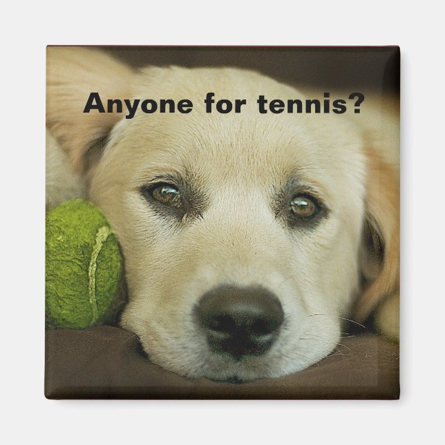 Jeder für Tennis, goldener Retriever. Magnet (Vorne)