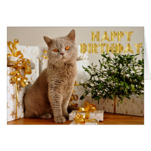 Jeder Liebegeschenke