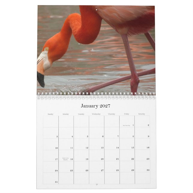 Jeder Tag ist Flamingo Freitag - Kalender (Jan 2027)