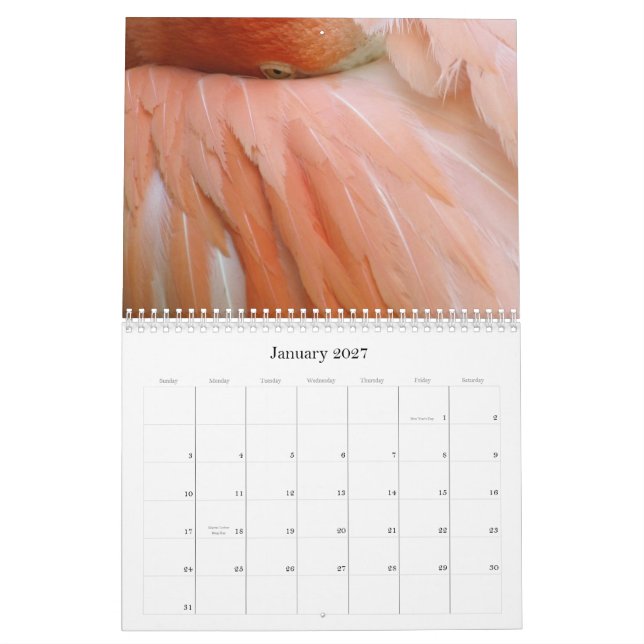 "Jeder Tag ist Flamingo-Freitag" Kalender (Jan 2027)