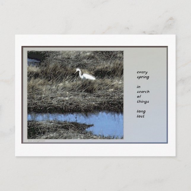 Jedes Frühjahr Haiku Postkarte (Vorderseite)