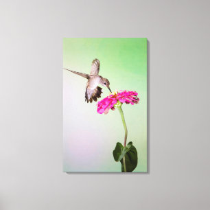 Jeff Davis Landkreis, Texas Leinwanddruck