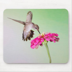 Jeff Davis Landkreis, Texas Mousepad