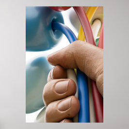 Jeff Koons Skulptur "Bouquet of Tulips" in Paris Poster