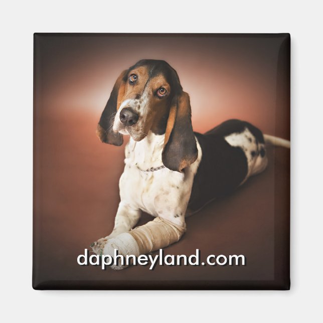 Jefferson avec aimant moulé (Devant)