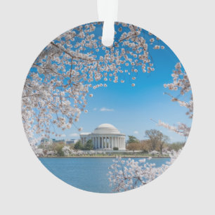 Jefferson Memorial im Frühjahr Ornament