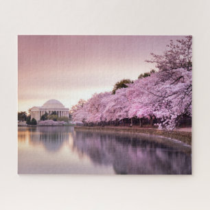 Jefferson Memorial in Spring