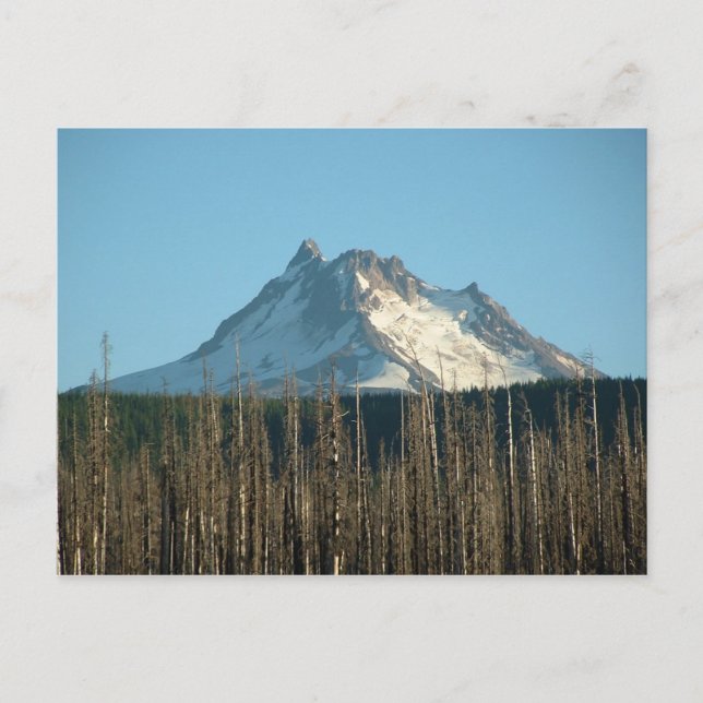 Jefferson vom Olallie Lake, 2005 Postkarte (Vorderseite)