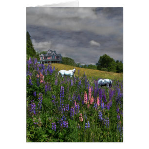 JeffersonLupine Mindscape