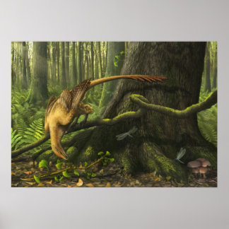 Jeholornis Print Poster