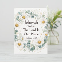 Jehovah Shalom, Weiße Gänseblümchen Eukalyptus Whi